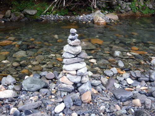 f:id:Naturalhistory:20090915182519g:image