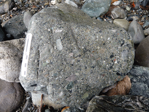 f:id:Naturalhistory:20090915182522g:image