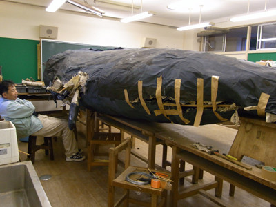 f:id:Naturalhistory:20091006171820j:image