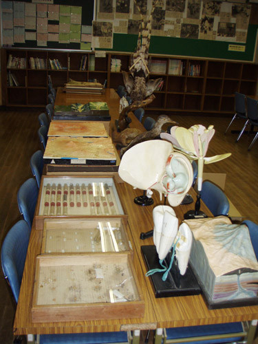 f:id:Naturalhistory:20091014172619j:image