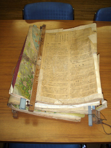 f:id:Naturalhistory:20091014172633j:image