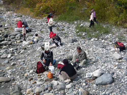f:id:Naturalhistory:20091017180712g:image