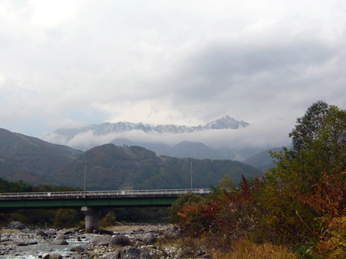 f:id:Naturalhistory:20091017180725g:image