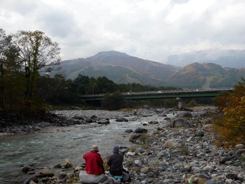 f:id:Naturalhistory:20091017180739g:image