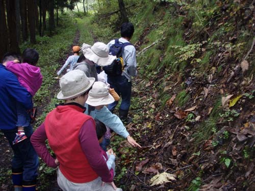 f:id:Naturalhistory:20091018110706j:image