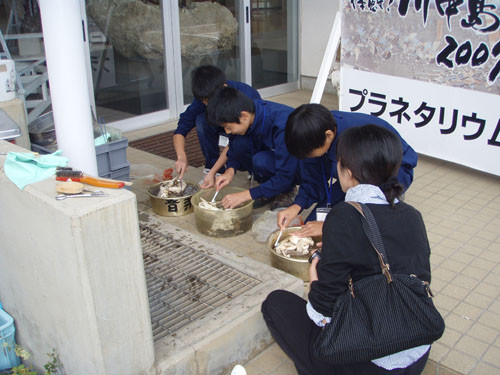 f:id:Naturalhistory:20091020131446j:image