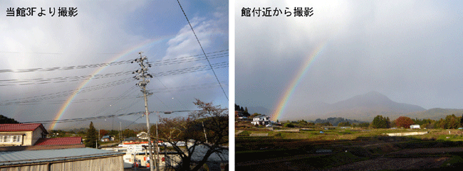 f:id:Naturalhistory:20091027173146g:image