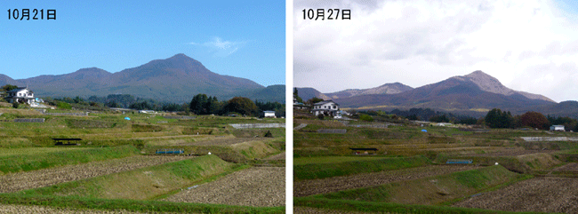 f:id:Naturalhistory:20091027173148g:image