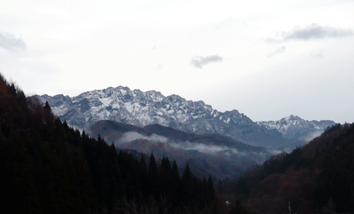 f:id:Naturalhistory:20091119174245g:image