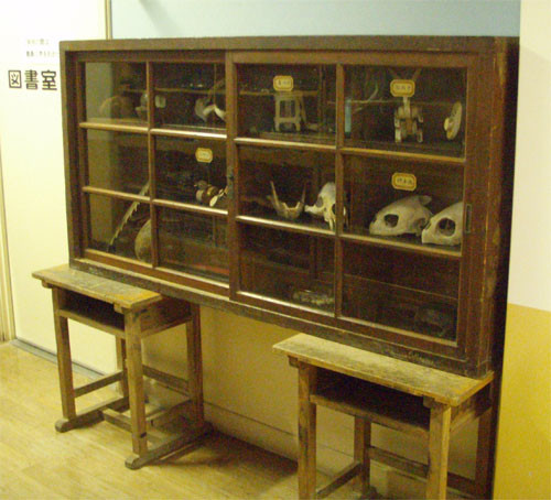 f:id:Naturalhistory:20091125170037j:image f:id:Naturalhistory:20091125170037j:image