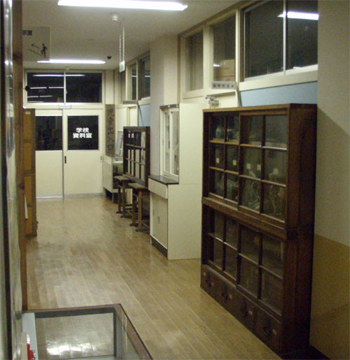 f:id:Naturalhistory:20091125170118j:image f:id:Naturalhistory:20091125170118j:image