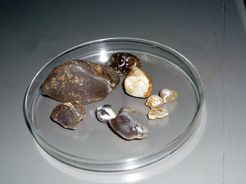 f:id:Naturalhistory:20091127184112g:image