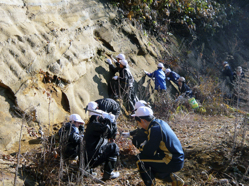 f:id:Naturalhistory:20091127184113g:image