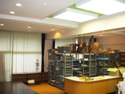 f:id:Naturalhistory:20091201162445j:image