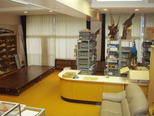 f:id:Naturalhistory:20091201162508j:image f:id:Naturalhistory:20091201162508j:image