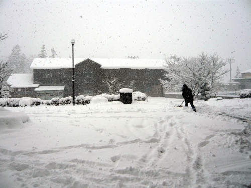 f:id:Naturalhistory:20091218172715g:image