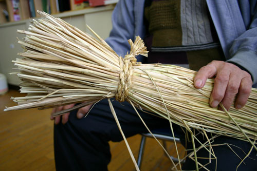 f:id:Naturalhistory:20091219102841j:image