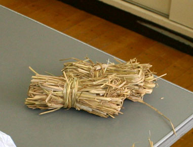 f:id:Naturalhistory:20091219173507j:image