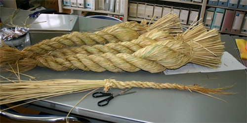 f:id:Naturalhistory:20091219173537j:image