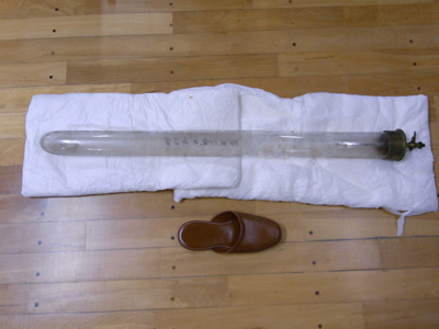 f:id:Naturalhistory:20100107165148j:image