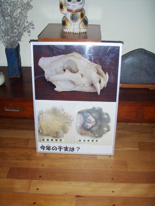 f:id:Naturalhistory:20100204171250j:image