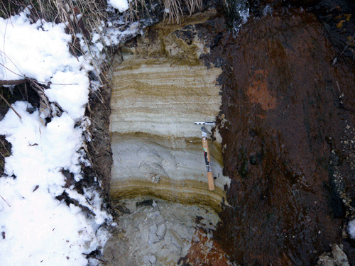 f:id:Naturalhistory:20100206174959g:image