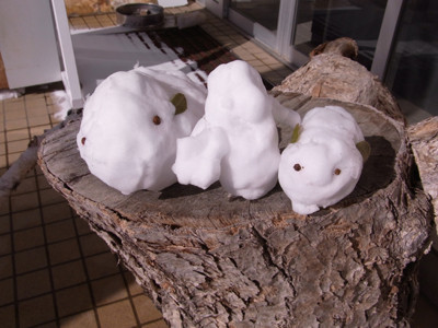 f:id:Naturalhistory:20100207103224j:image