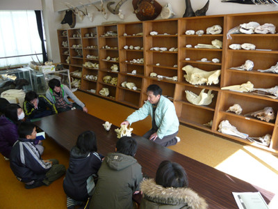 f:id:Naturalhistory:20100207130601j:image