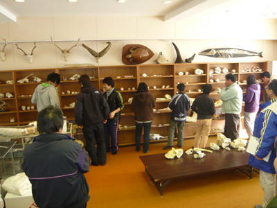 f:id:Naturalhistory:20100207134632j:image
