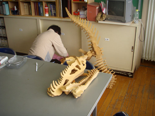 f:id:Naturalhistory:20100216113416j:image