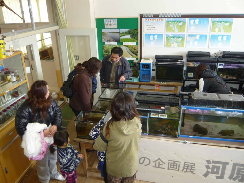 f:id:Naturalhistory:20100219111741j:image f:id:Naturalhistory:20100219111741j:image