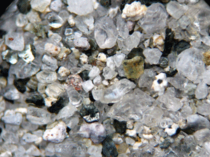 f:id:Naturalhistory:20100228183027g:image f:id:Naturalhistory:20100228183027g:image