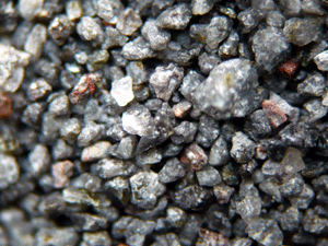 f:id:Naturalhistory:20100228183028g:image f:id:Naturalhistory:20100228183028g:image