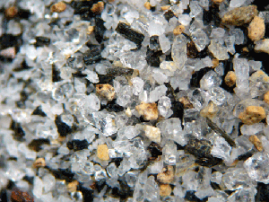 f:id:Naturalhistory:20100228183029g:image f:id:Naturalhistory:20100228183029g:image