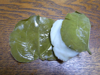 f:id:Naturalhistory:20100305191430j:image