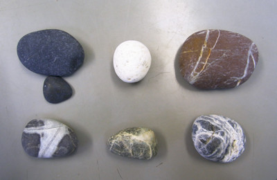 f:id:Naturalhistory:20100306173508j:image