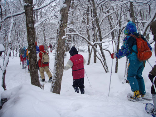 f:id:Naturalhistory:20100307100308j:image f:id:Naturalhistory:20100307100308j:image