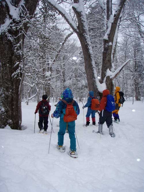 f:id:Naturalhistory:20100307112630j:image f:id:Naturalhistory:20100307112630j:image
