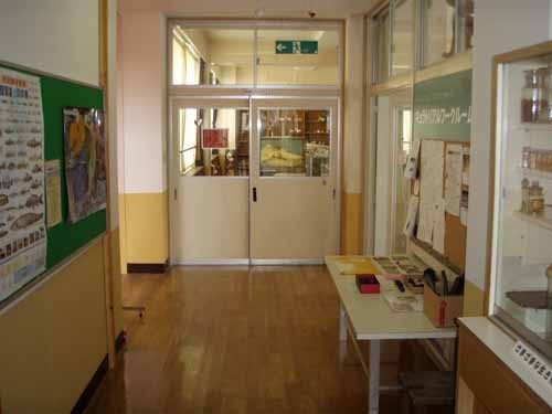 f:id:Naturalhistory:20100314101456j:image
