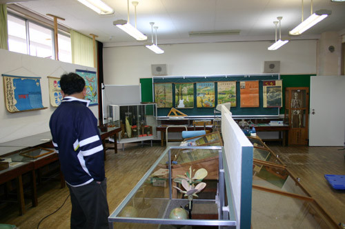 f:id:Naturalhistory:20100413152930j:image
