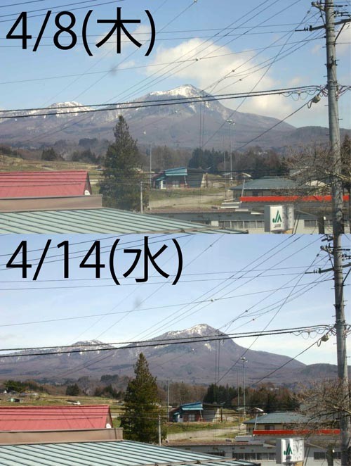 f:id:Naturalhistory:20100414172453j:image