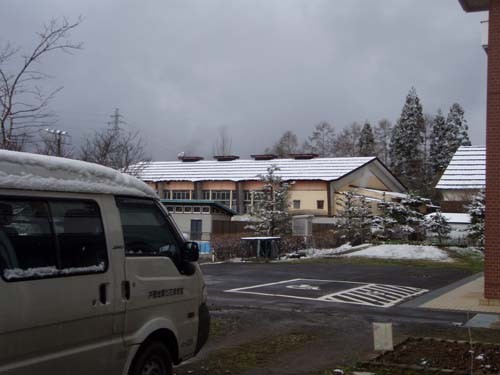 f:id:Naturalhistory:20100415085206j:image