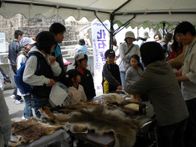 f:id:Naturalhistory:20100418122435j:image