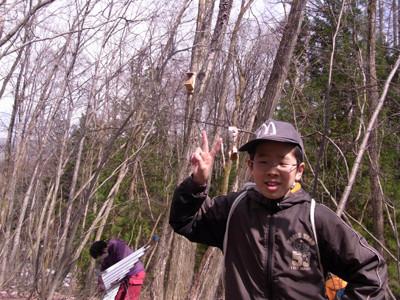 f:id:Naturalhistory:20100418134501j:image f:id:Naturalhistory:20100418134501j:image