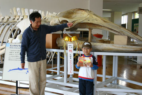 f:id:Naturalhistory:20100503094331j:image