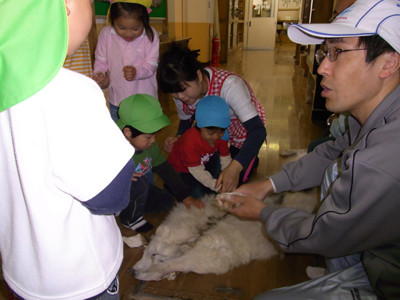 f:id:Naturalhistory:20100526103148j:image f:id:Naturalhistory:20100526103148j:image