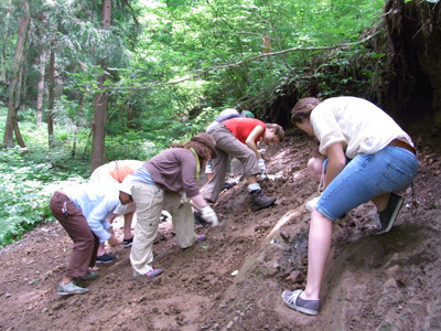 f:id:Naturalhistory:20100622113751j:image
