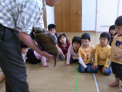 f:id:Naturalhistory:20100623105231j:image