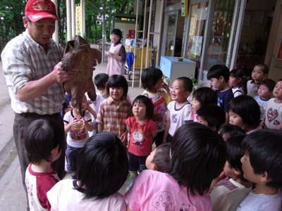 f:id:Naturalhistory:20100623110837j:image