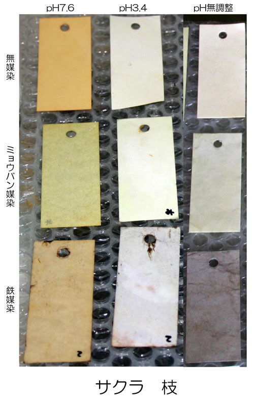 f:id:Naturalhistory:20100624172148j:image f:id:Naturalhistory:20100624172148j:image